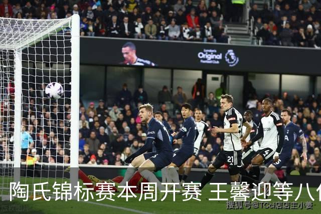 陶氏锦标赛本周开赛 王馨迎等八位金花组成五队参赛